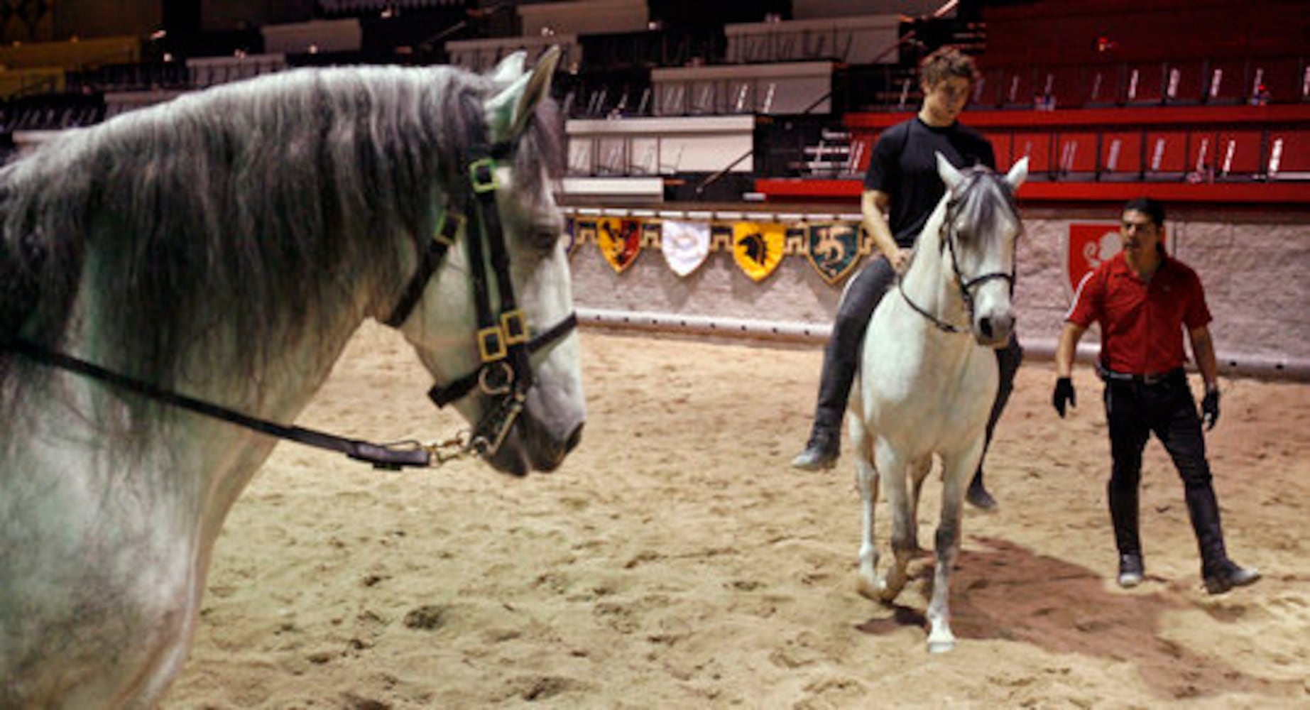 More romance at Medieval Times