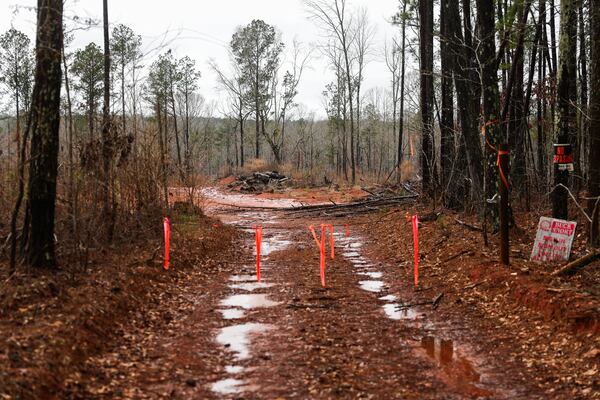 Trees are cut down at the Equinix Data Center site in Hampton, Ga., on Saturday, Feb. 21, 2026. (Abbey Cutrer/AJC)
