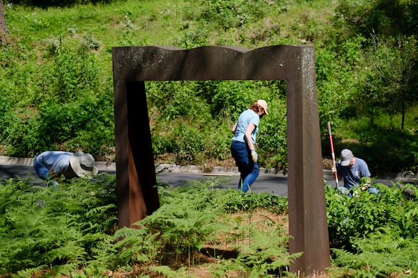 Volunteers root out invasive plants and clean debris at the Chastain Arts Center in Buckhead for Earth Day on Friday, April 22, 2022. (Arvin Temkar/AJC)