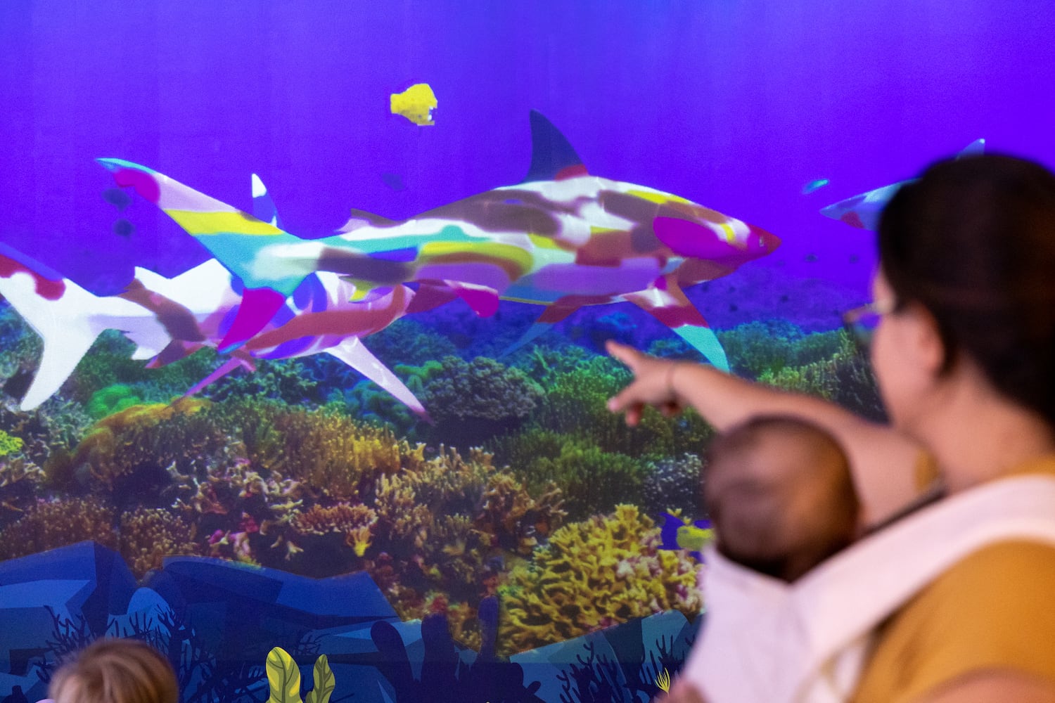 Georgia Aquarium’s latest exhibit Explorer’s Cave is hands on
