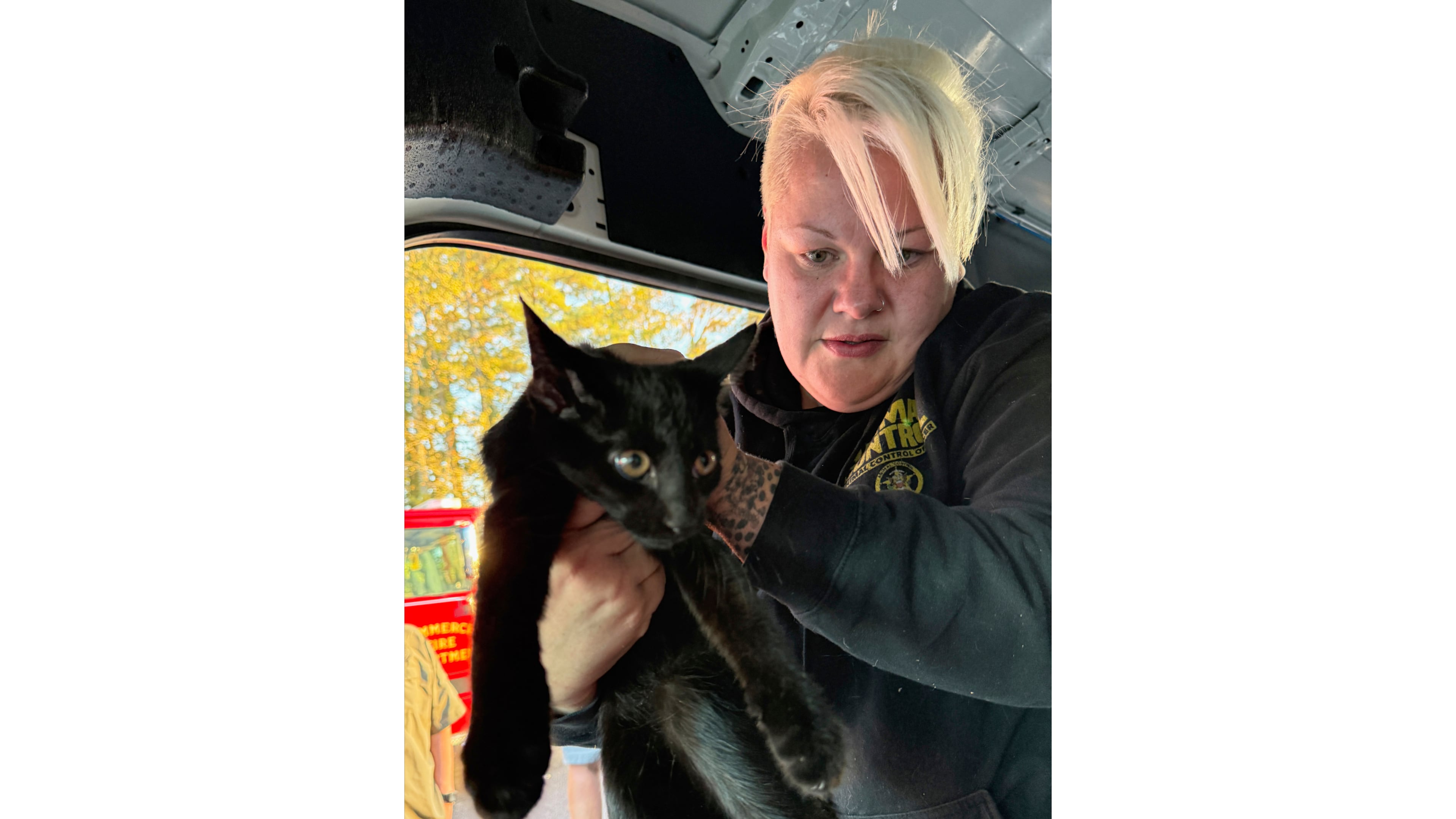 This photo provided by Tina Walden shows Holly Bennett, with Jackson County Animal Control, rescues a cat from a crash involving a semitrailer and a van that was being used by Furkids Animal Rescue and Shelters on an interstate in Jackson County, Ga., Monday, Oct. 13, 2025. (Tina Walden via AP)