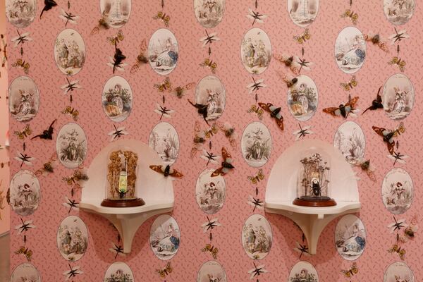 Wisconsin artist and design professor Jennifer Angus has created a Victorian-inspired installation at Zuckerman Museum of Art, including wallpaper she designed, to pay tribute to women entomologists. (Courtesy Bernard A. Zuckerman Museum of Art/Mike Jensen)