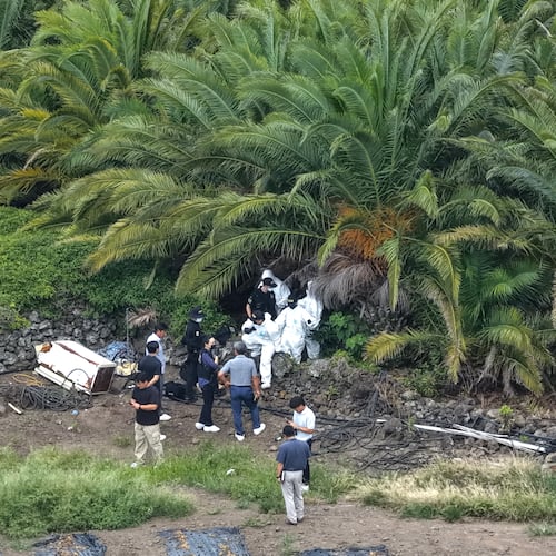 Police officers examine the scene at a palm tree farm where the body of missing woman, Jang Mi-ran, was found on Jeju Island, South Korea, Monday, Aug. 24, 2026. (Park Ji-ho/Yonhap via AP)