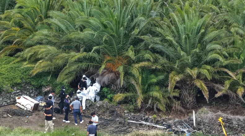 Police officers examine the scene at a palm tree farm where the body of missing woman, Jang Mi-ran, was found on Jeju Island, South Korea, Monday, Aug. 24, 2026. (Park Ji-ho/Yonhap via AP)