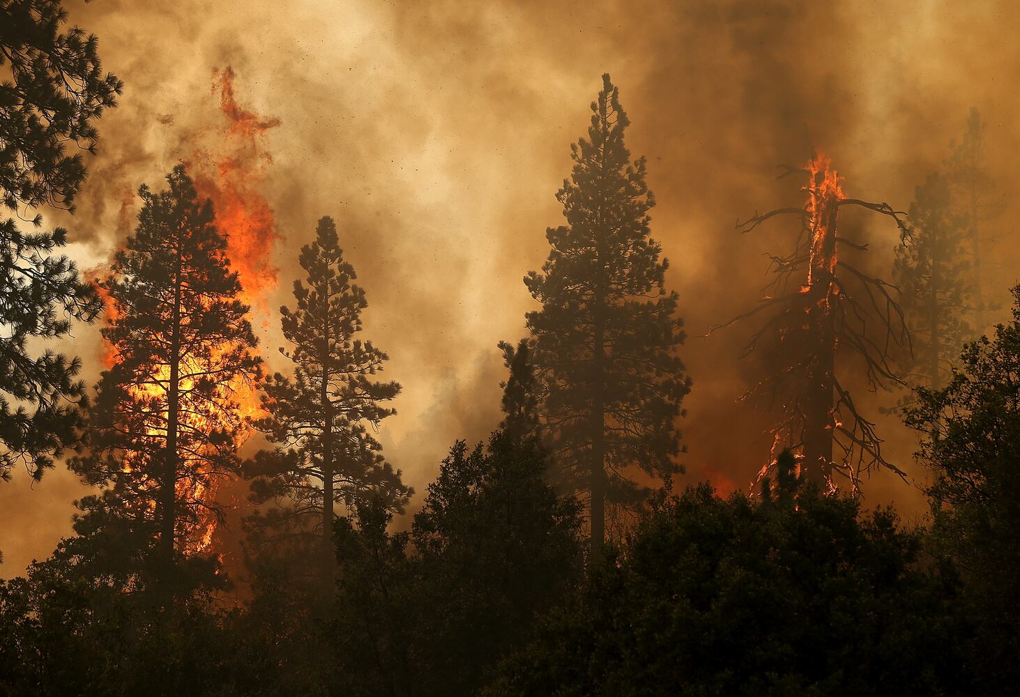 IMAGES: Dramatic 24 hours on Rim Fire line