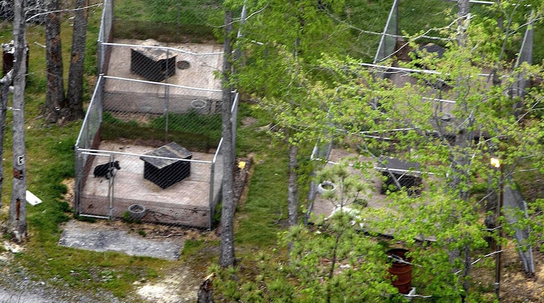Some of the dog pens behind the Vick property in Surry Co. Va., where a drug investigation led authorities in 2007 to search a Surry County home owned by then-Falcons quarterback Michael Vick and they instead discovered a dog fighting ring.