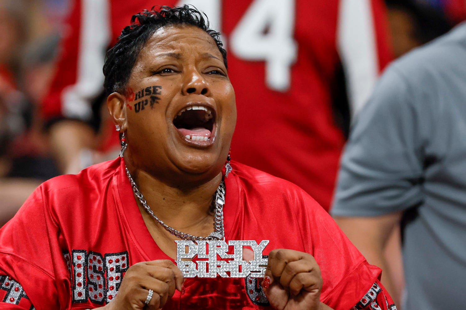 Atlanta Falcons vs Buffalo Bills