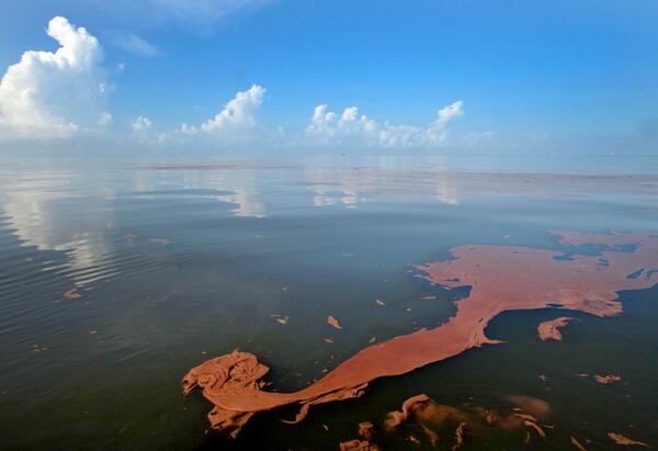 FILE - Crude oil from the BP Deepwater Horizon spill floats on the water with clouds reflected in the sheen on Barataria Bay off the coast of Louisiana on June, 7, 2010. (AP Photo/Charlie Riedel, File)