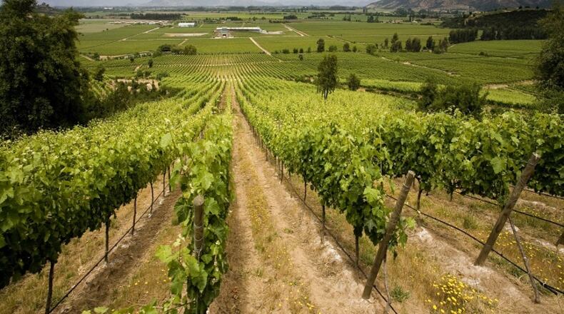 The majority of the Chile's wine regions fall between the 32nd and 38th parallels, a pocket where good things have been happening with wine for a long time. (Dreamstime/TNS)