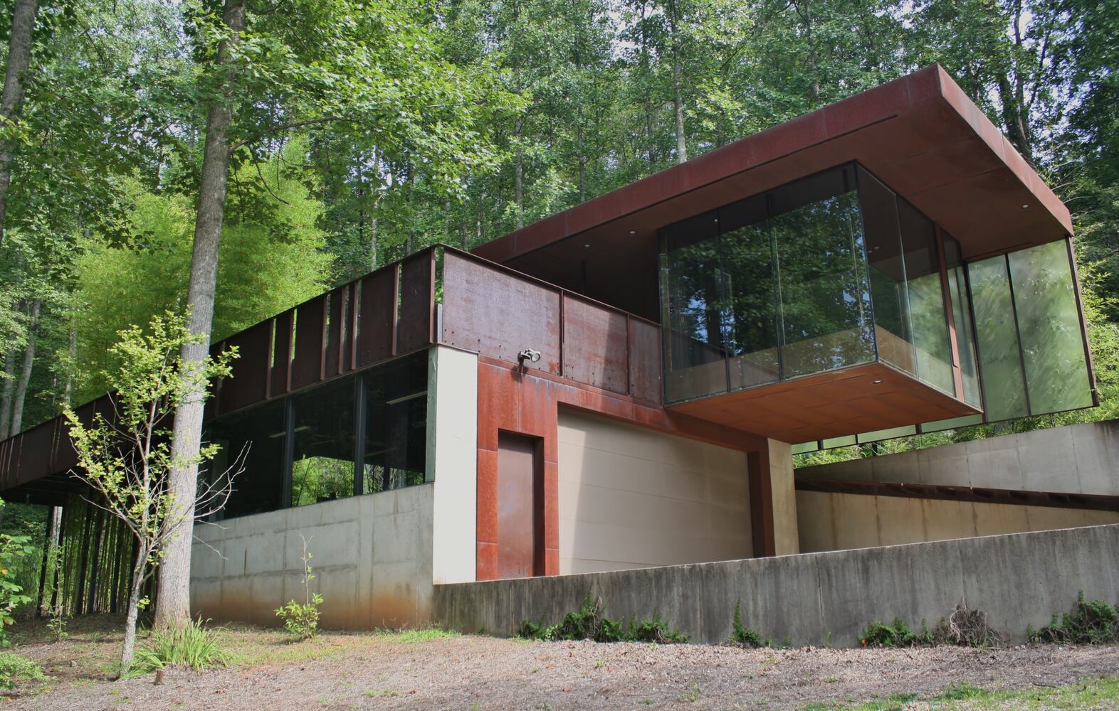 Mountain Tree House
