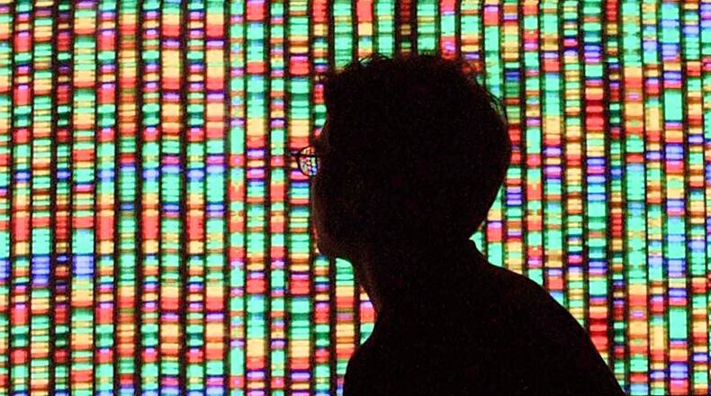 A visitor views a digital representation of the human genome August 15, 2001 at the American Museum of Natural History in New York City.  (Photo by Mario Tama/Getty Images)
