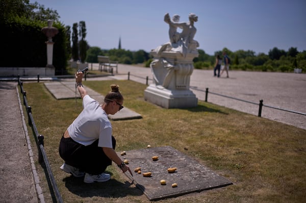 A woman takes a photo of herself as she places a potato on the grave stone of King Frederick II of Prussia, in the park of Sanssouci Palace in Potsdam, Germany, June 17, 2025. (AP Photo/Markus Schreiber)