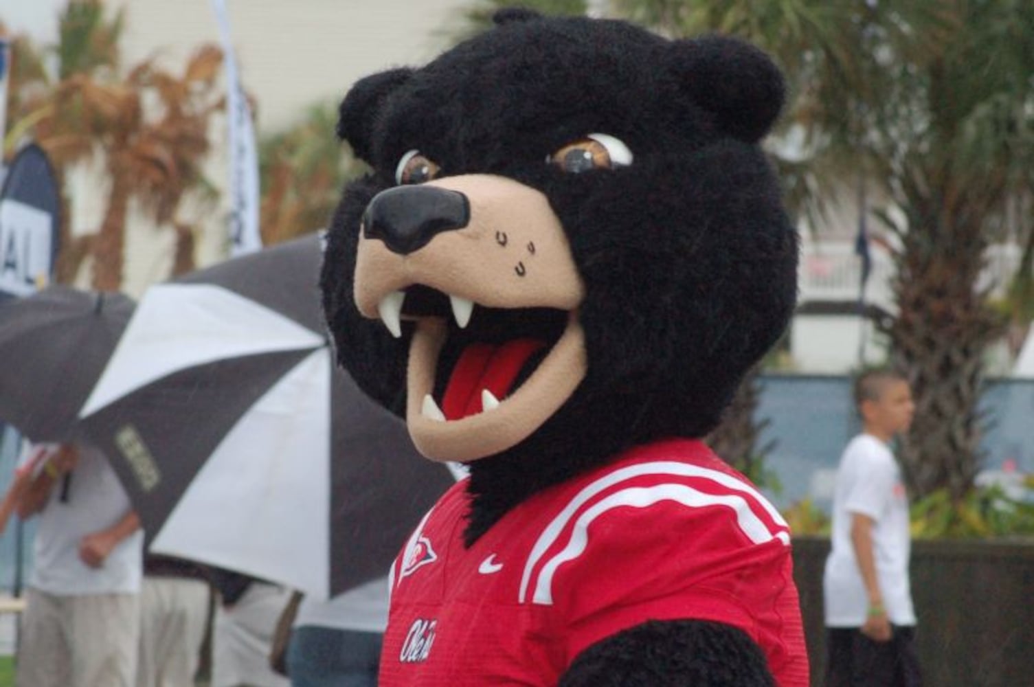 Rebel Black Bear, Ole Miss