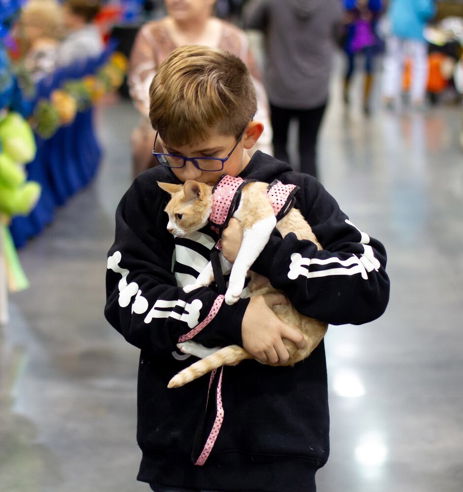 PHOTOS: 81st annual Cotton States Cat Show