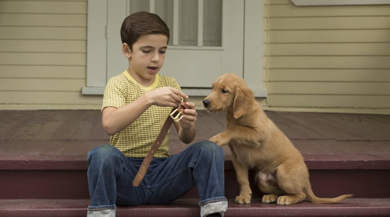 Bryce Gheisar hangs out with his pet in “A Dog’s Purpose.” (Joe Lederer/Universal Studios via AP)