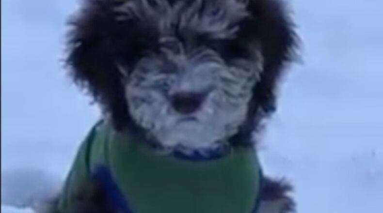 Image courtesy of Kelly Herrero