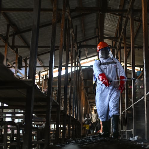 A sanitation worker from the Bunia city government sprays chlorine to disinfect the central market, as Ituri province continues to combat an Ebola outbreak, in Bunia, Congo, Saturday, May 23, 2026. (AP Photo/Moses Sawasawa)