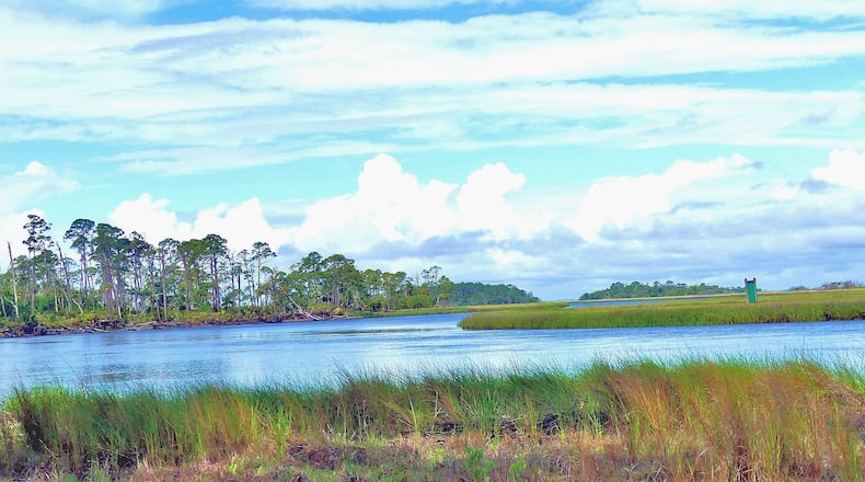 The view of Wassaw Creek from Wassaw Island near Savannah. The remote, pristine Wassaw is one of Georgia's 14 major barrier islands and a national wildlife refuge. It helps make Georgia the sixth most biologically diverse state in the union. (Charles Seabrook for The Atlanta Journal-Constitution)