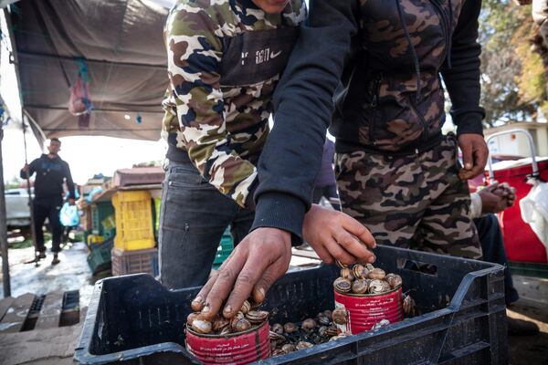 Customers buy snails at a weekly market in Enfidha, Tunisia, March 27, 2025. (AP Photo/Ons Abid)