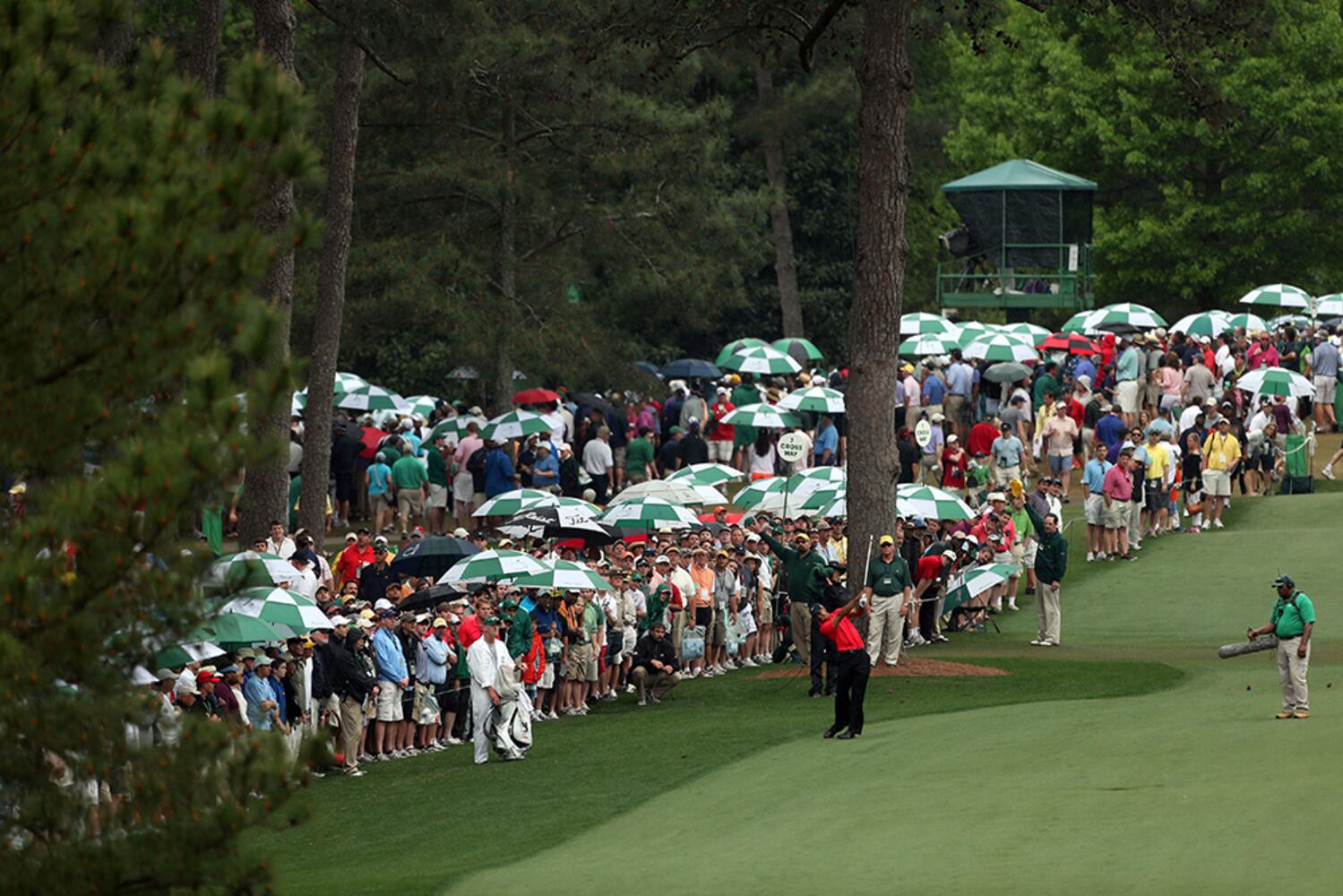 Augusta National, April 14, 2013