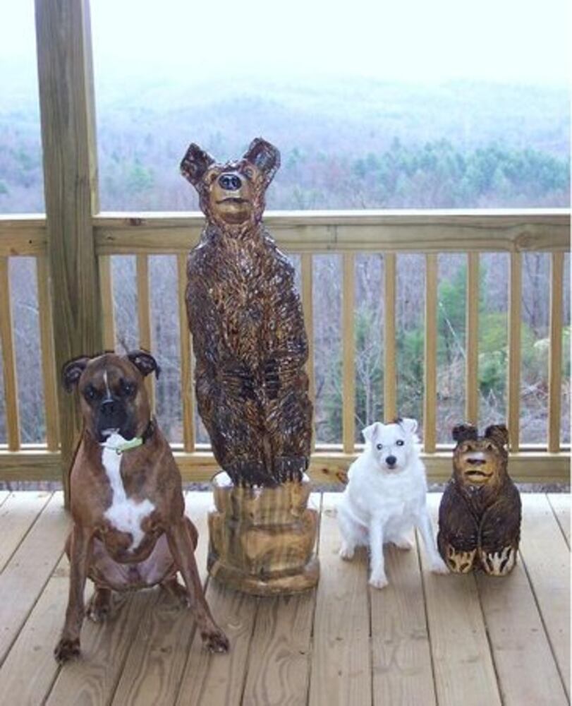 Atlanta's Top Dogs: 5. Boxers