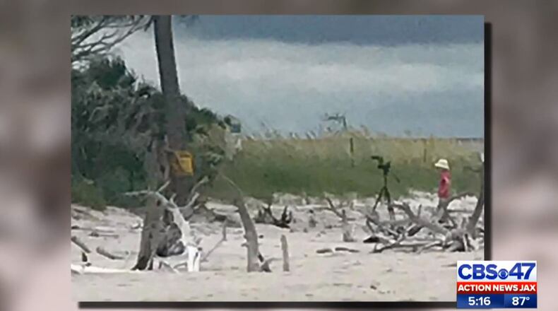 A woman took to Facebook after seeing what she said appeared to be a naked man tied to a tree at Big Talbot Island State Park in Jacksonville, Florida. (Photo by ActionNewsJax.com)