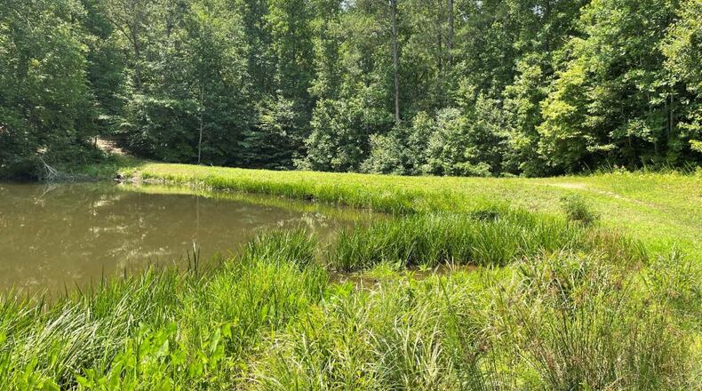 Milton is inviting the public to help name the 106-acre greenspace off Lackey Road. (Courtesy City of Milton)