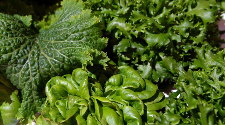 An argument over the price of salad at a New York City deli led to the stabbing of an employee, police said.