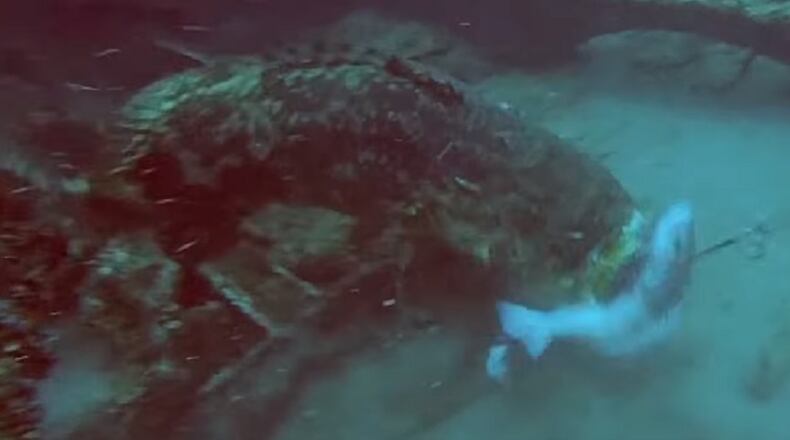 Still image from YouTube video