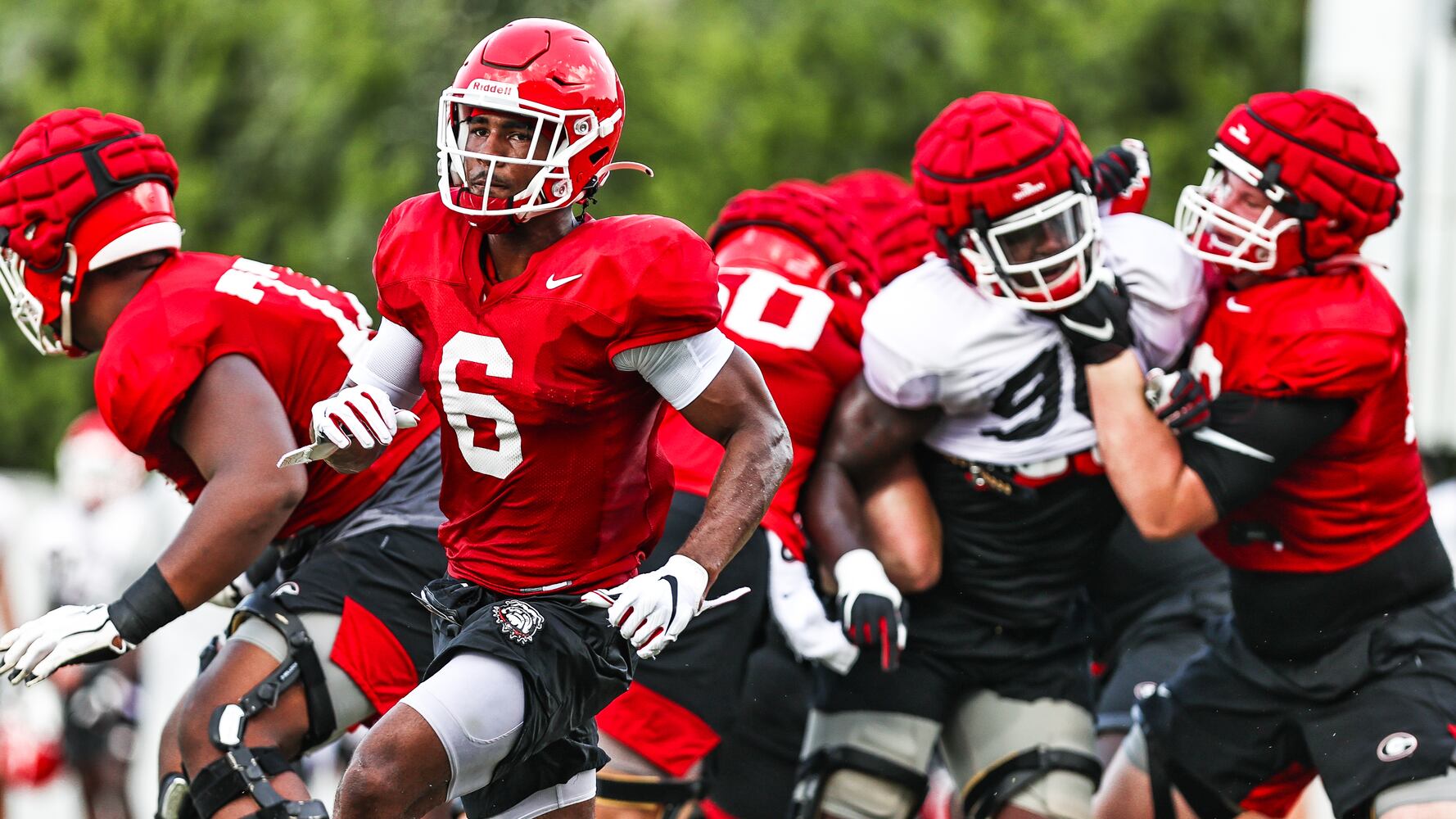 Georgia Bulldogs