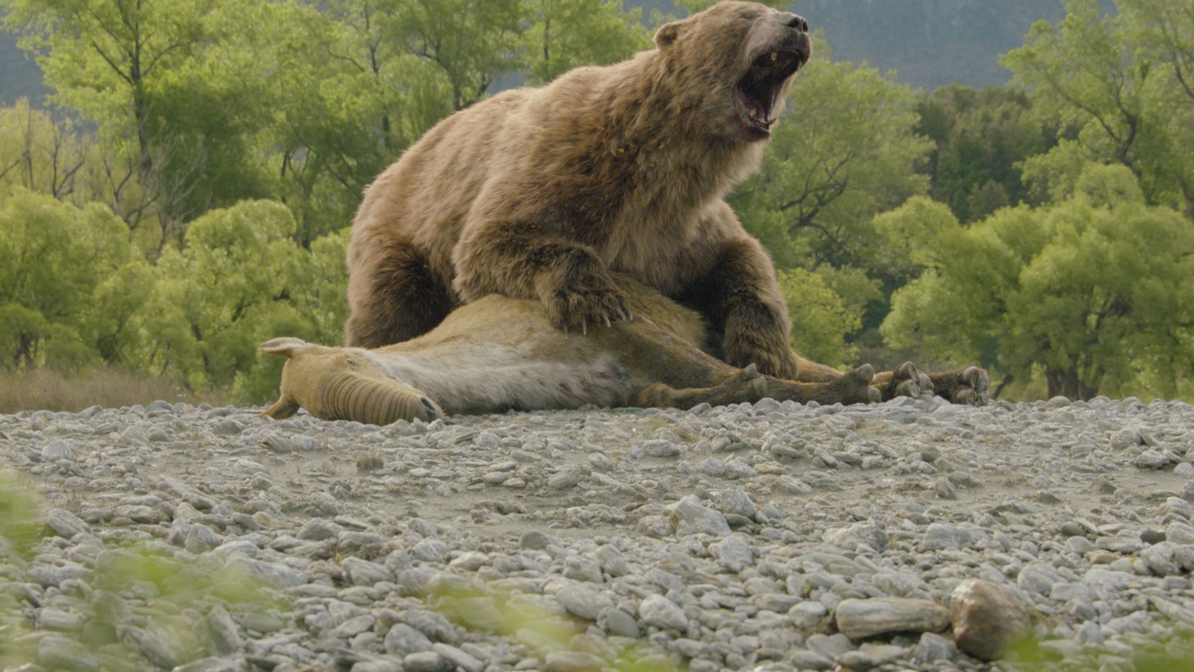 This computer generated image released by Apple TV shows the Arctotherium angustidens, the biggest bear to ever live, in a scene from “Prehistoric Planet: Ice Age." (Apple TV via AP)