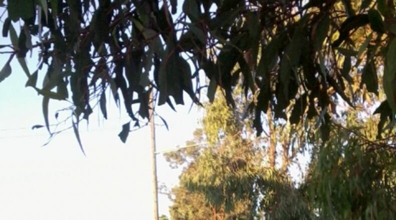 A “land contract” or “contract for deed” doesn’t actually give the home “buyer” any ownership. A report today alleges that big firms are targeting minority areas for the program.