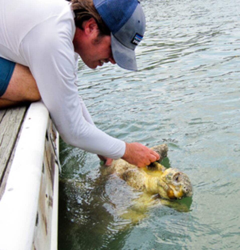 St. Augustine Eco Tours