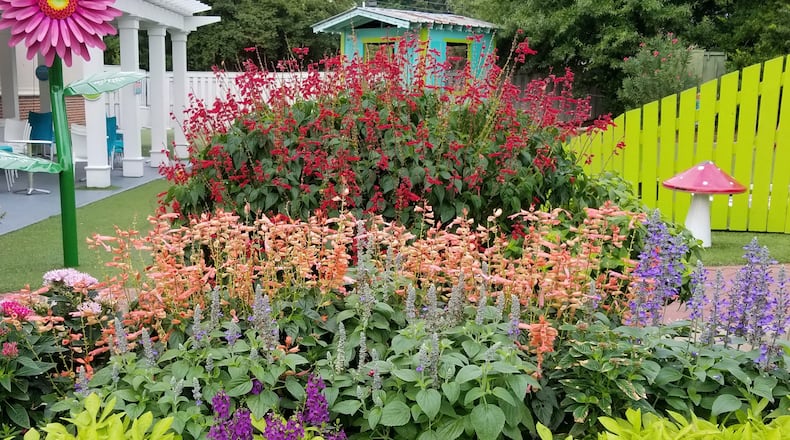 Saucy Red and Saucy Coral salvias colorfully show out while bringing in butterflies and hummingbirds. (James Winter/TNS)