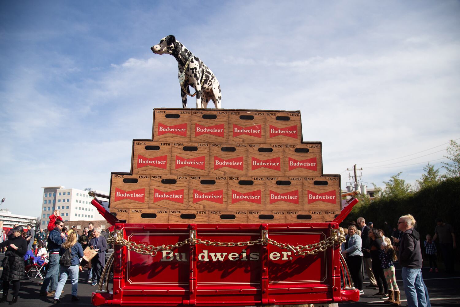 Photos: Clydesdales trot in for Super Bowl