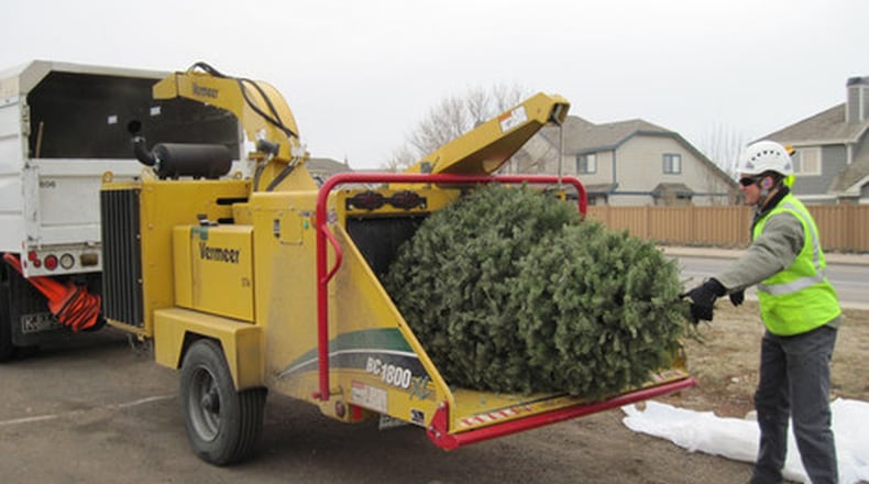 Milton residents have a number of Christmas tree recycling options from now into January. The city's main "Bring One for the Chipper" tree collection is Saturday, Jan. 2, at Milton High School.