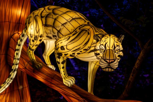 See IllumiNights at the Zoo for the last time this season from Friday through Sunday at Zoo Atlanta. (Courtesy of Zoo Atlanta)