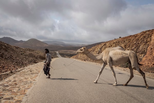 A camel herder crosses the road on the Yemeni island of Socotra on Sept. 23, 2024. (AP Photo/Annika Hammerschlag)