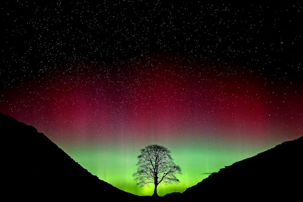 FILE - Northern Lights, or Aurora Borealis, shining over the Sycamore Gap tree, on Hadrian's Wall in Northumberland, England, July 3, 2016. (Owen Humphreys/PA via AP, File)