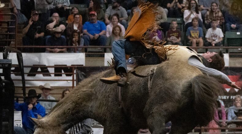 grey and brown horse bucking a cowboy off his back mid air.