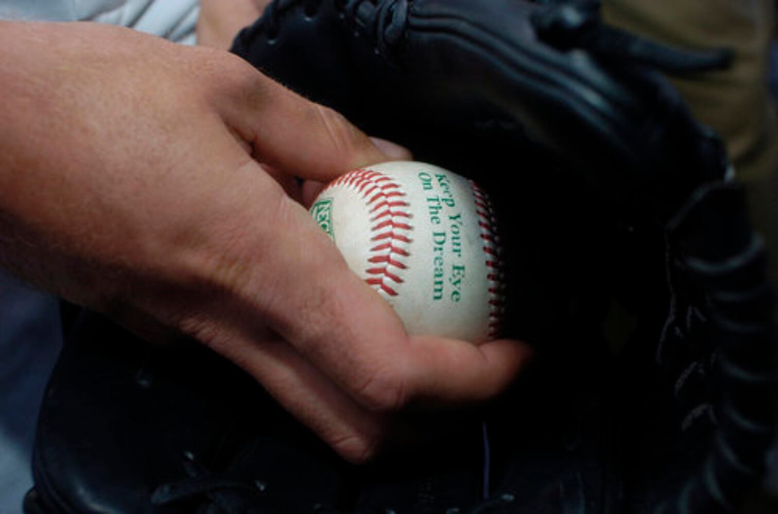June 20, 2008: Today in Pictures