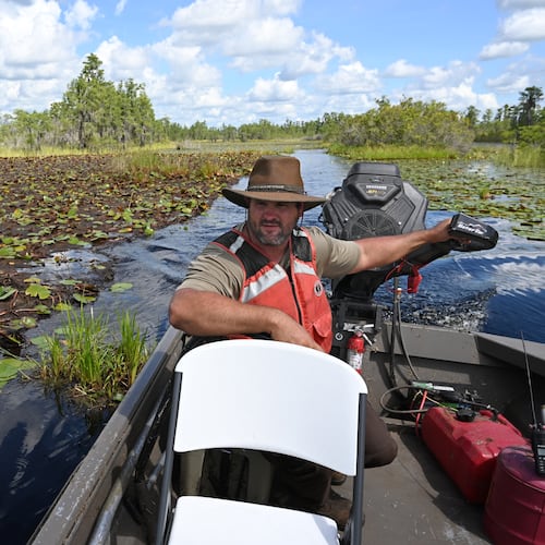 Zach Carter navigates a boat through the Okefenokee Swamp in southeast Georgia on Tuesday, Aug. 12, 2025. (Hyosub Shin/AJC)