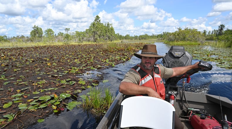 Zach Carter navigates a boat through the Okefenokee Swamp in southeast Georgia on Tuesday, Aug. 12, 2025. (Hyosub Shin/AJC)