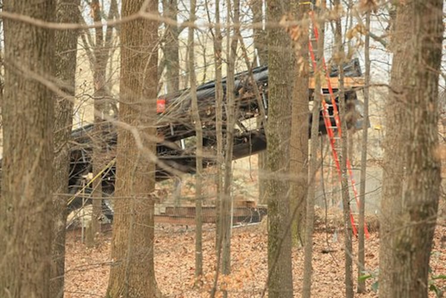 Atlanta Botanical Garden accident