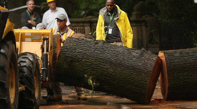 NEW YORK, NY - AUGUST 15: Central Park workers remove parts of a massive tree that came down Tuesday morning injuring a mother and her three young children on August 15, 2017 in New York City. The tree blocked a roadway in the popular park, prompting police to shut down the area to pedestrians, vehicles and bicycles. (Photo by Spencer Platt/Getty Images)