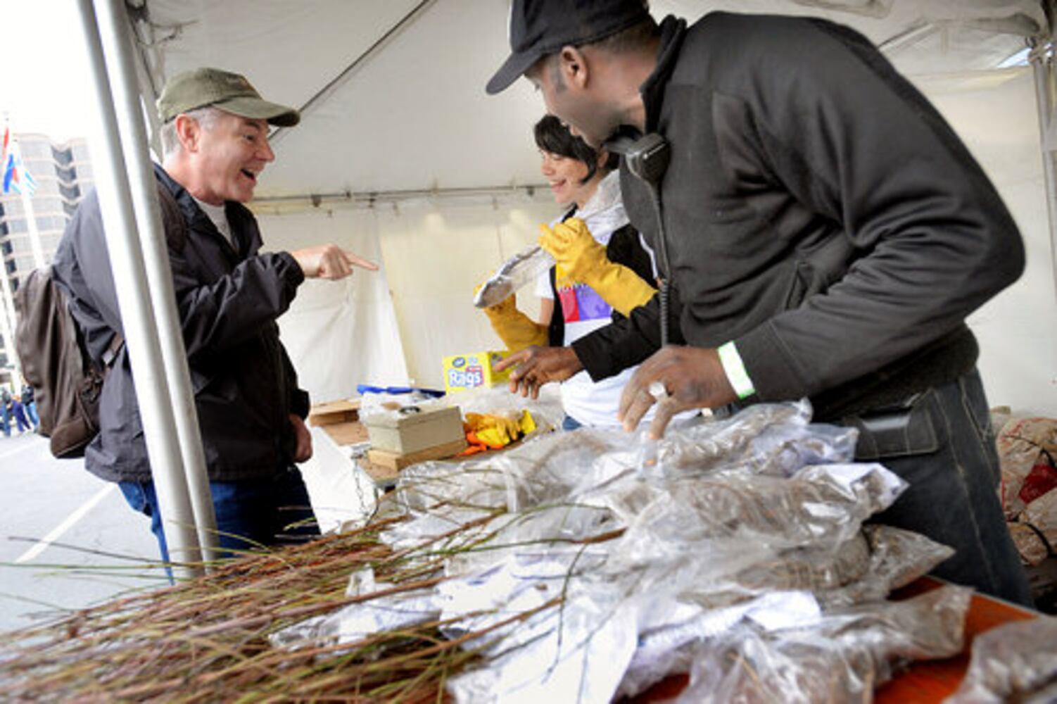 The Dogwood Festival