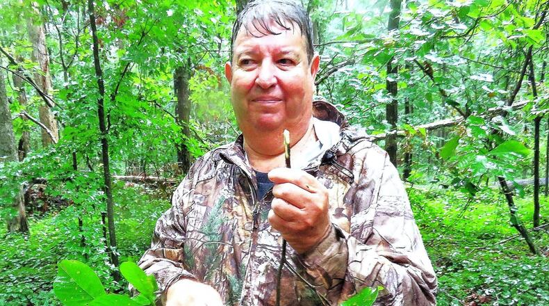Bill Lott, manager of the Thompson Mills Forest and State Arboretum in Braselton, holds a small branch of a black gum tree, one of some 200 native tree species at the arboretum. Native Americans and settlers once used black gum twigs as toothbrushes. CONTRIBUTED BY CHARLES SEABROOK
