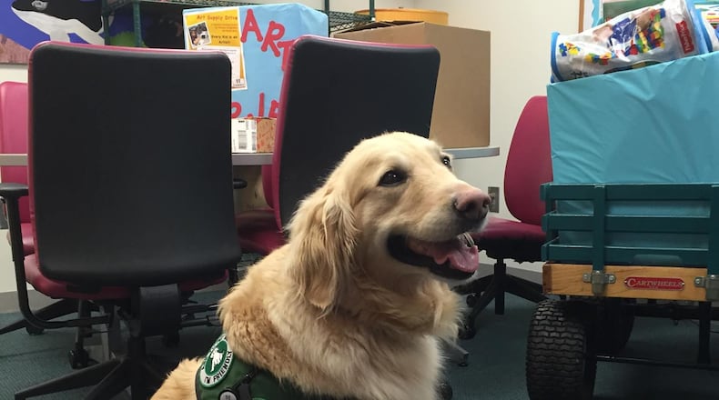 Casper fills roles the staff can't, such as showing kids that their breathing machine is not scary, or distracting children who are receiving an IV or are frightened by the IV machine.