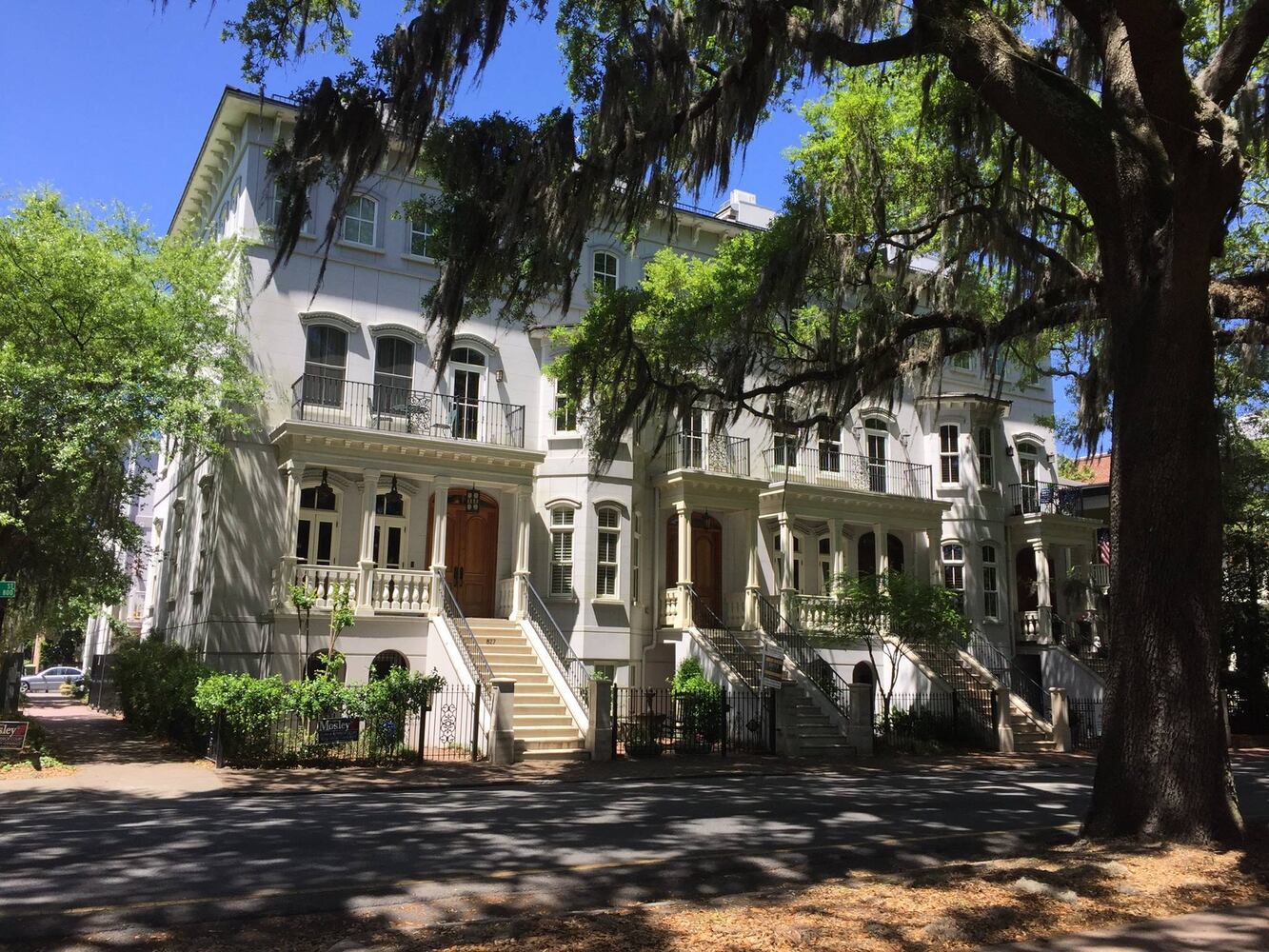Savannah