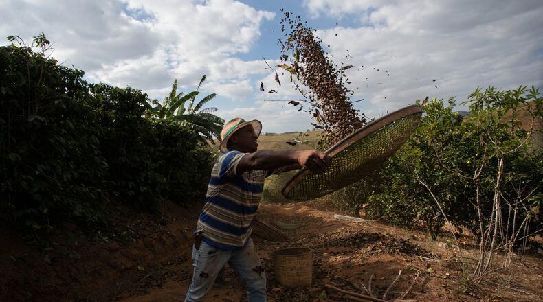 FILE - Coffee producer Jose Natal da Silva sifts coffee beans on his farm in Porciuncula, Rio de Janeiro state, Brazil, July 17, 2025. (AP Photo/Bruna Prado, File)